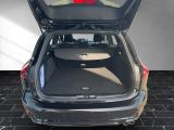 Ford Focus ST bei Gebrauchtwagen.expert - Abbildung (15 / 15)