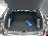Ford Kuga bei Gebrauchtwagen.expert - Abbildung (12 / 15)