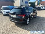 Skoda Kodiaq bei Gebrauchtwagen.expert - Abbildung (3 / 15)