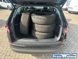 Skoda Kodiaq bei Gebrauchtwagen.expert - Abbildung (11 / 15)