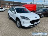 Ford Kuga bei Gebrauchtwagen.expert - Abbildung (2 / 15)