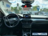 Ford Kuga bei Gebrauchtwagen.expert - Abbildung (10 / 15)
