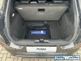Ford Puma bei Gebrauchtwagen.expert - Abbildung (12 / 15)