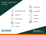 Skoda Kamiq bei Gebrauchtwagen.expert - Abbildung (5 / 15)