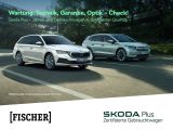 Skoda Octavia bei Gebrauchtwagen.expert - Abbildung (4 / 5)