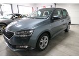 Skoda Fabia bei Gebrauchtwagen.expert - Abbildung (5 / 13)
