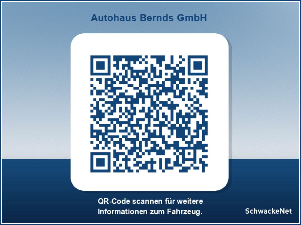 Renault Kangoo bei Gebrauchtwagen.expert - Hauptabbildung