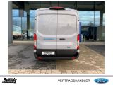 Ford Andere bei Gebrauchtwagen.expert - Abbildung (8 / 15)