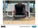 Ford Andere bei Gebrauchtwagen.expert - Abbildung (10 / 15)