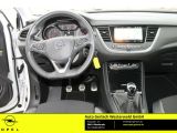 Opel Grandland X bei Gebrauchtwagen.expert - Abbildung (7 / 15)