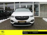 Opel Grandland X bei Gebrauchtwagen.expert - Abbildung (2 / 15)