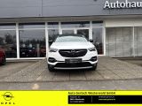 Opel Grandland X bei Gebrauchtwagen.expert - Abbildung (2 / 15)