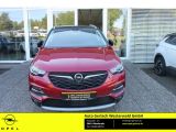 Opel Grandland X bei Gebrauchtwagen.expert - Abbildung (2 / 14)