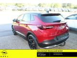 Opel Grandland X bei Gebrauchtwagen.expert - Abbildung (10 / 14)