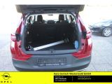 Opel Grandland X bei Gebrauchtwagen.expert - Abbildung (14 / 14)