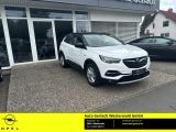 Opel Grandland X bei Gebrauchtwagen.expert - Abbildung (3 / 15)