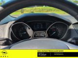 Ford Focus bei Gebrauchtwagen.expert - Abbildung (6 / 15)