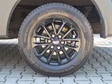 Ford F bei Gebrauchtwagen.expert - Abbildung (9 / 15)