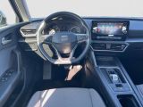 Seat Leon bei Gebrauchtwagen.expert - Abbildung (11 / 15)