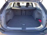 VW Passat bei Gebrauchtwagen.expert - Abbildung (6 / 15)