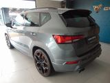 Cupra Ateca bei Gebrauchtwagen.expert - Abbildung (4 / 15)