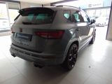 Cupra Ateca bei Gebrauchtwagen.expert - Abbildung (6 / 15)