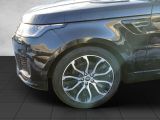 Land Rover Range Rover Sport bei Gebrauchtwagen.expert - Abbildung (13 / 14)