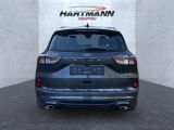Ford Kuga bei Gebrauchtwagen.expert - Abbildung (9 / 15)