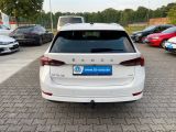Skoda Octavia bei Gebrauchtwagen.expert - Abbildung (7 / 15)