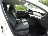 Skoda Octavia bei Gebrauchtwagen.expert - Abbildung (11 / 15)