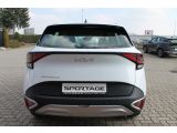 Kia Sportage bei Gebrauchtwagen.expert - Abbildung (5 / 15)