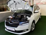 Skoda Fabia bei Gebrauchtwagen.expert - Abbildung (9 / 10)