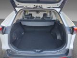 Toyota RAV 4 bei Gebrauchtwagen.expert - Abbildung (7 / 15)