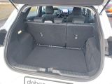Ford Puma bei Gebrauchtwagen.expert - Abbildung (11 / 15)