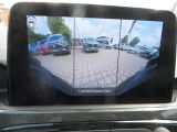 Ford Kuga bei Gebrauchtwagen.expert - Abbildung (8 / 15)