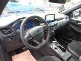 Ford Kuga bei Gebrauchtwagen.expert - Abbildung (5 / 15)