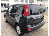 Fiat Panda bei Gebrauchtwagen.expert - Abbildung (3 / 11)