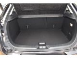 Mazda CX-3 bei Gebrauchtwagen.expert - Abbildung (11 / 15)