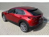 Mazda CX-30 bei Gebrauchtwagen.expert - Abbildung (5 / 15)