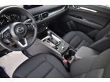 Mazda CX 5 bei Gebrauchtwagen.expert - Abbildung (11 / 15)