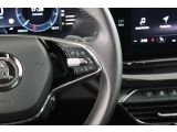 Skoda Octavia bei Gebrauchtwagen.expert - Abbildung (13 / 15)