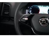 Skoda Karoq bei Gebrauchtwagen.expert - Abbildung (13 / 15)