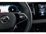 Skoda Karoq bei Gebrauchtwagen.expert - Abbildung (14 / 15)
