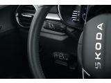 Skoda Fabia bei Gebrauchtwagen.expert - Abbildung (15 / 15)