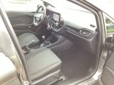 Ford Fiesta bei Gebrauchtwagen.expert - Abbildung (13 / 15)