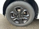 Ford EcoSport bei Gebrauchtwagen.expert - Abbildung (11 / 14)