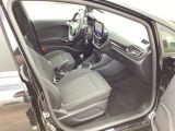 Ford Fiesta bei Gebrauchtwagen.expert - Abbildung (13 / 15)