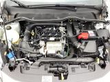 Ford Fiesta bei Gebrauchtwagen.expert - Abbildung (15 / 15)