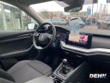 Skoda Octavia bei Gebrauchtwagen.expert - Abbildung (13 / 15)