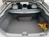 Hyundai IONIQ bei Gebrauchtwagen.expert - Abbildung (14 / 15)